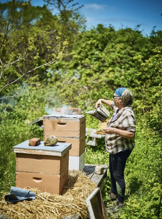 Beekeeper tending hives in a hotel garden