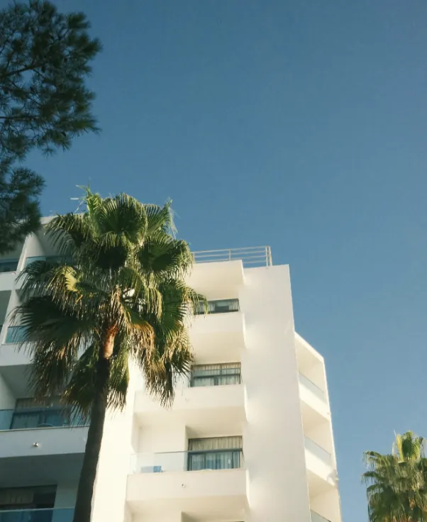 White hotel building framed by palm trees