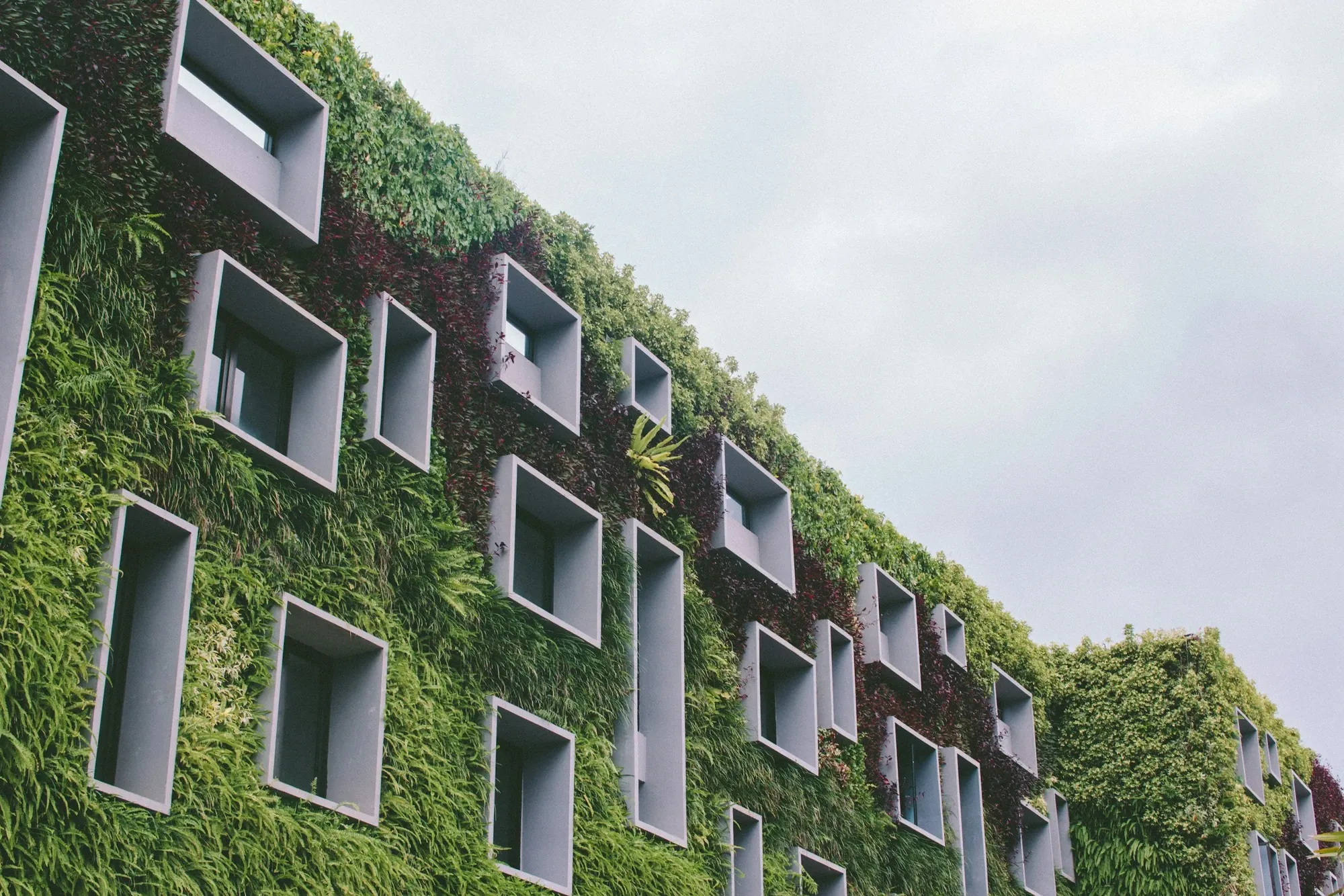 Hotel facade covered in a living green wall