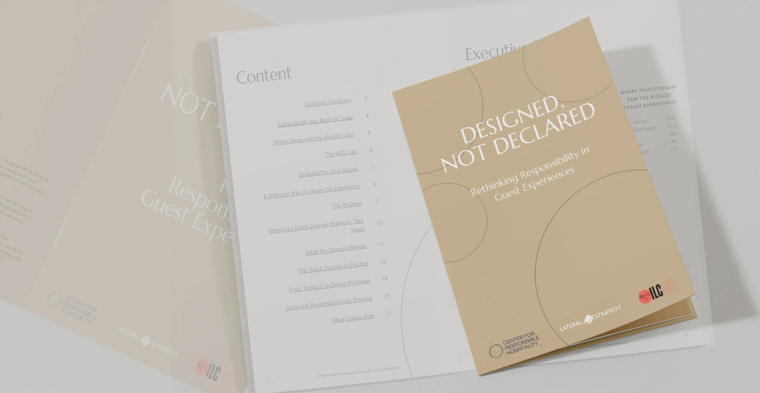 Cover of the Designed, Not Declared research report