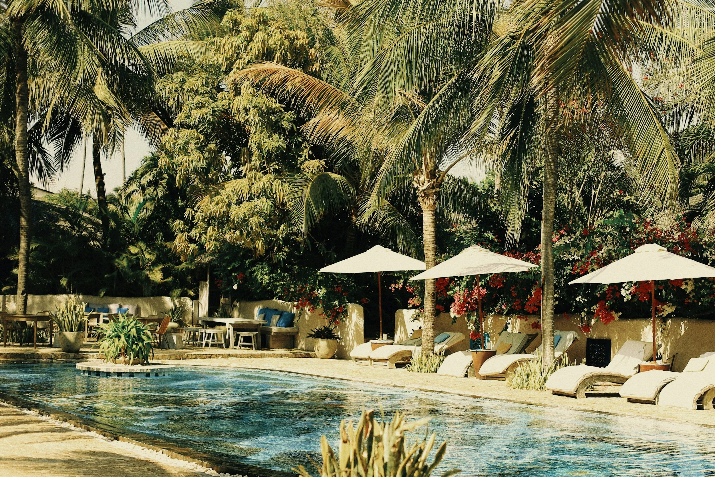 Poolside loungers shaded by palm trees