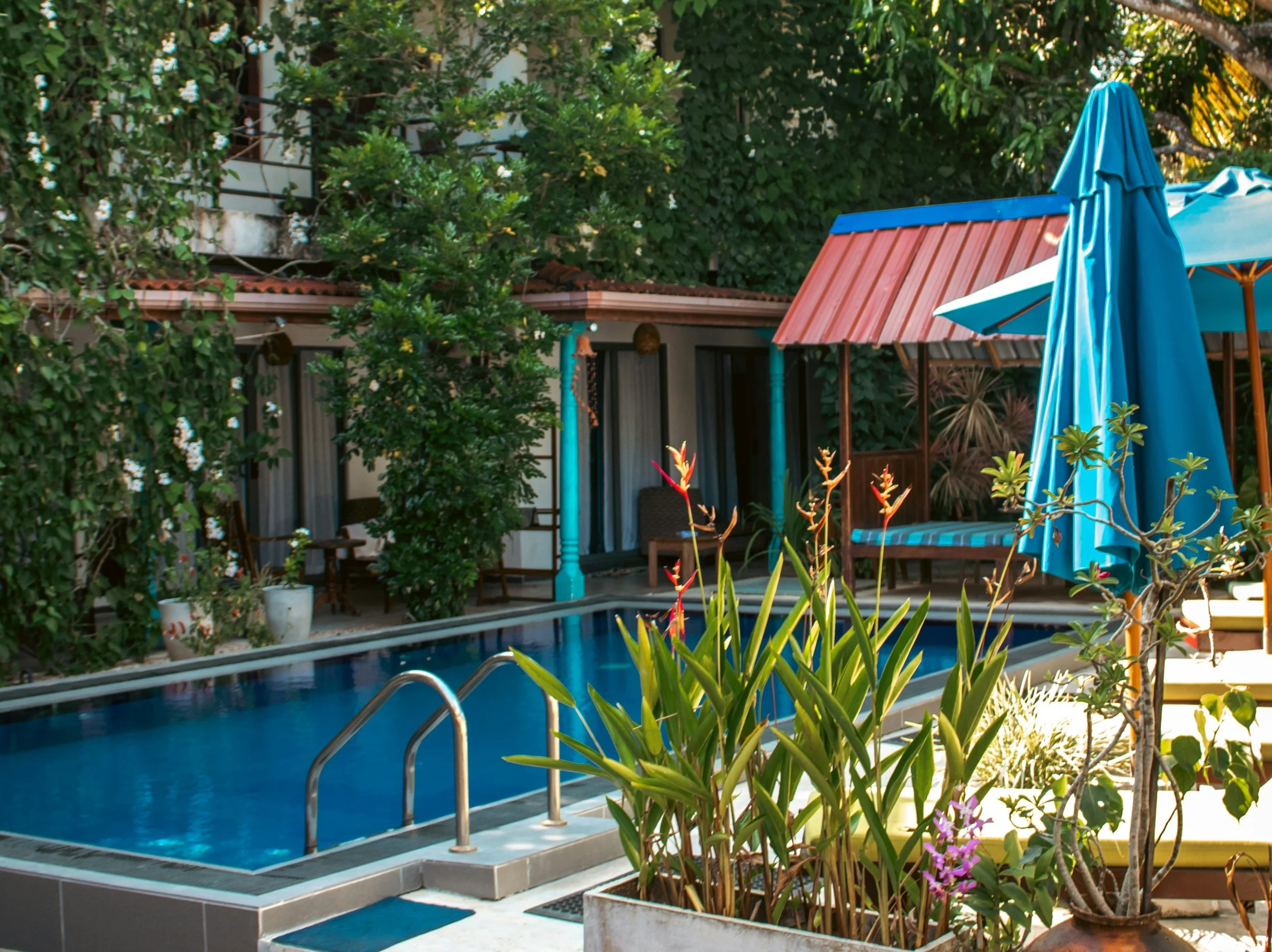 Poolside garden at a small independent hotel